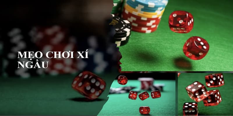 Mẹo Chơi Xí Ngầu Hiệu Quả Tại B52club